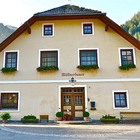 Muellnerbauer Daire Penk Dış mekan fotoğraf
