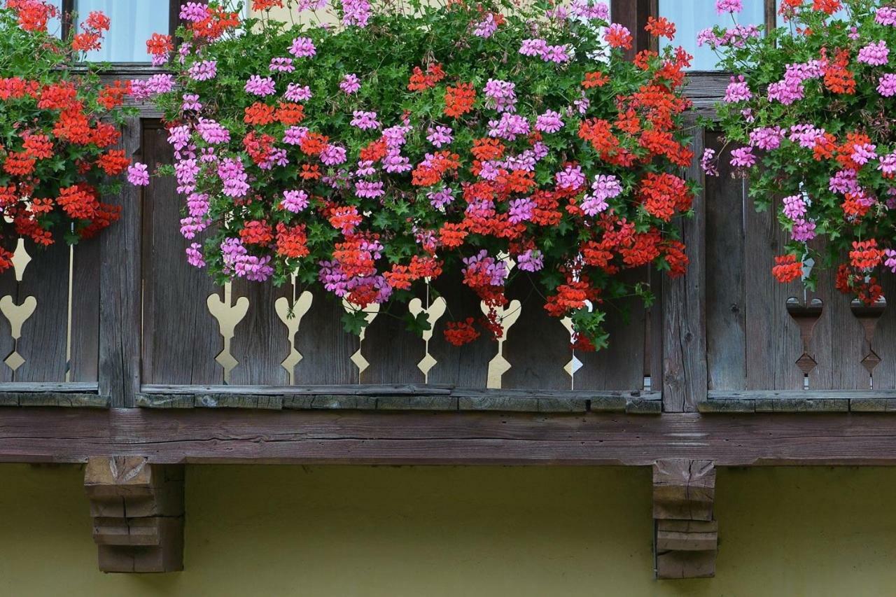 Muellnerbauer Daire Penk Dış mekan fotoğraf